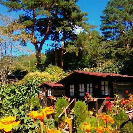 Parque de vacaciones La
